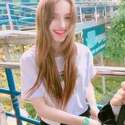 机战少女alice破解版下载