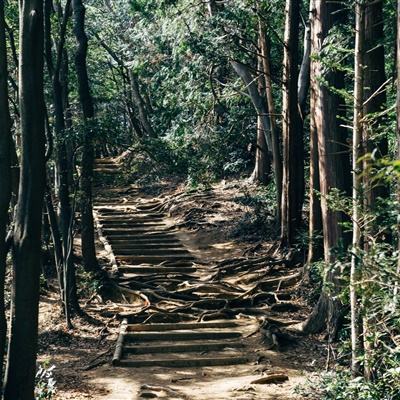 传奇霸战最新版下载